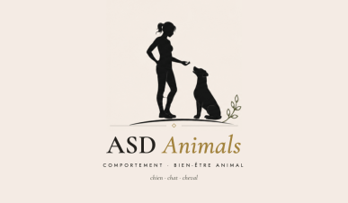 logo ASD 